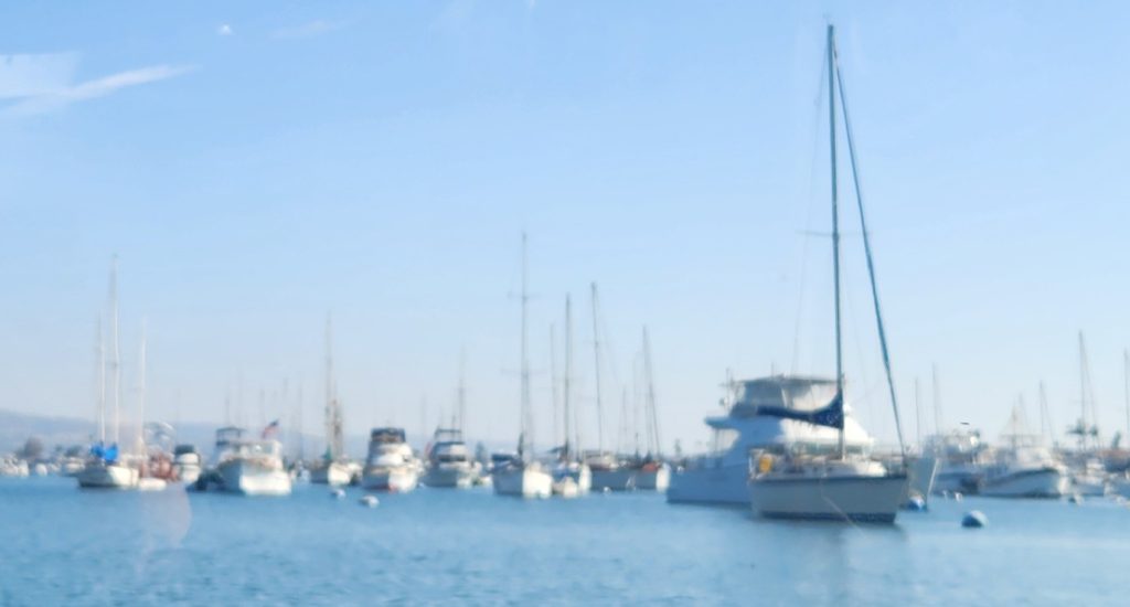 Picture of sail boats anchored in the water.